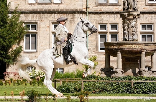 Lord in der Pesade