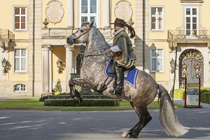 Mildenberger Reitunterricht